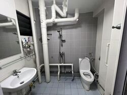 Blk 241 Hougang Heights (Hougang), HDB 4 Rooms #554746611